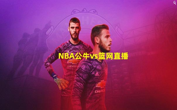 NBA公牛vs篮网直播