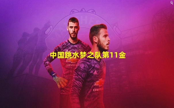 中国跳水梦之队第11金