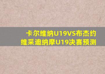 卡尔维纳U19VS布杰约维采迪纳摩U19决赛预测