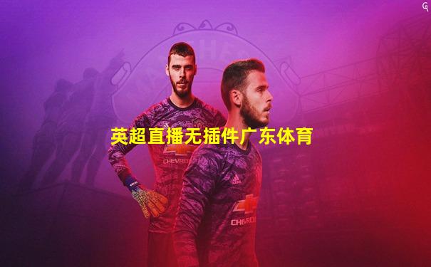英超直播无插件广东体育