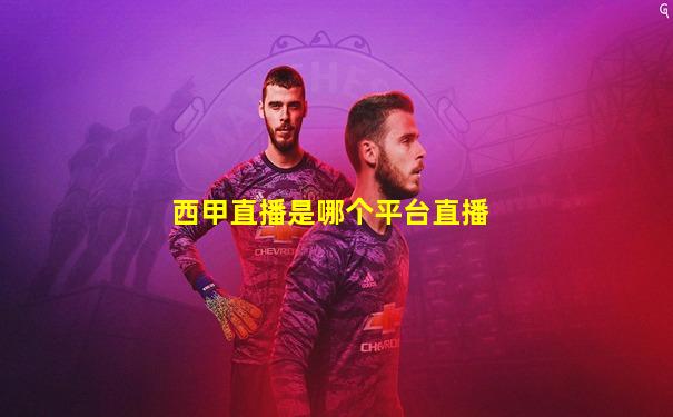 西甲直播是哪个平台直播
